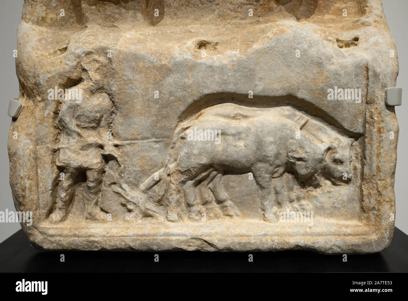 Geschnitzten Marmor Bas-Relief von Pflügen, Pflügen oder Landwirtschaft Szene auf römischen Stele aus c 1. AD, Römisches Museum Nimes. Stockfoto