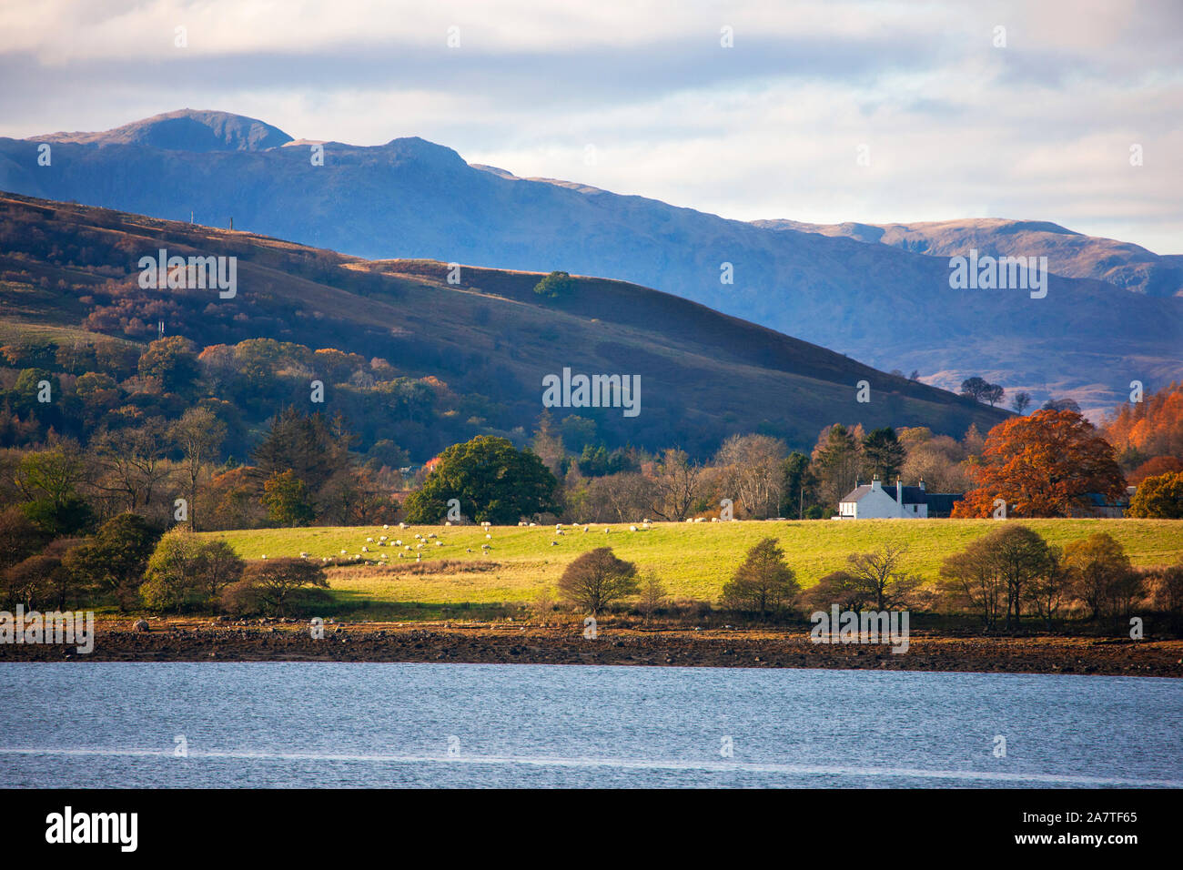 Teleaufnahme in Richtung Süden Shian, Loch Creran, Argyll Stockfoto