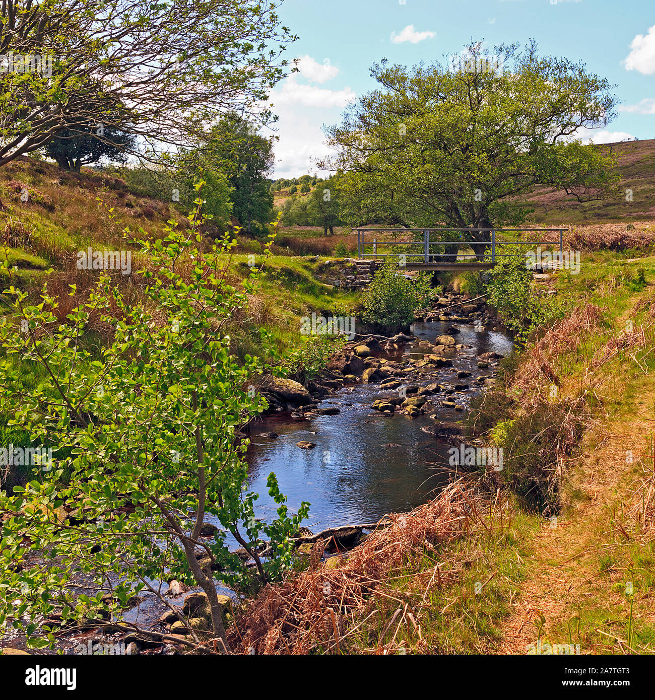 Fußgängerbrücke über Wheeldale Gill Stream auf der North York Moors, Yorkshire, England, Großbritannien Stockfoto