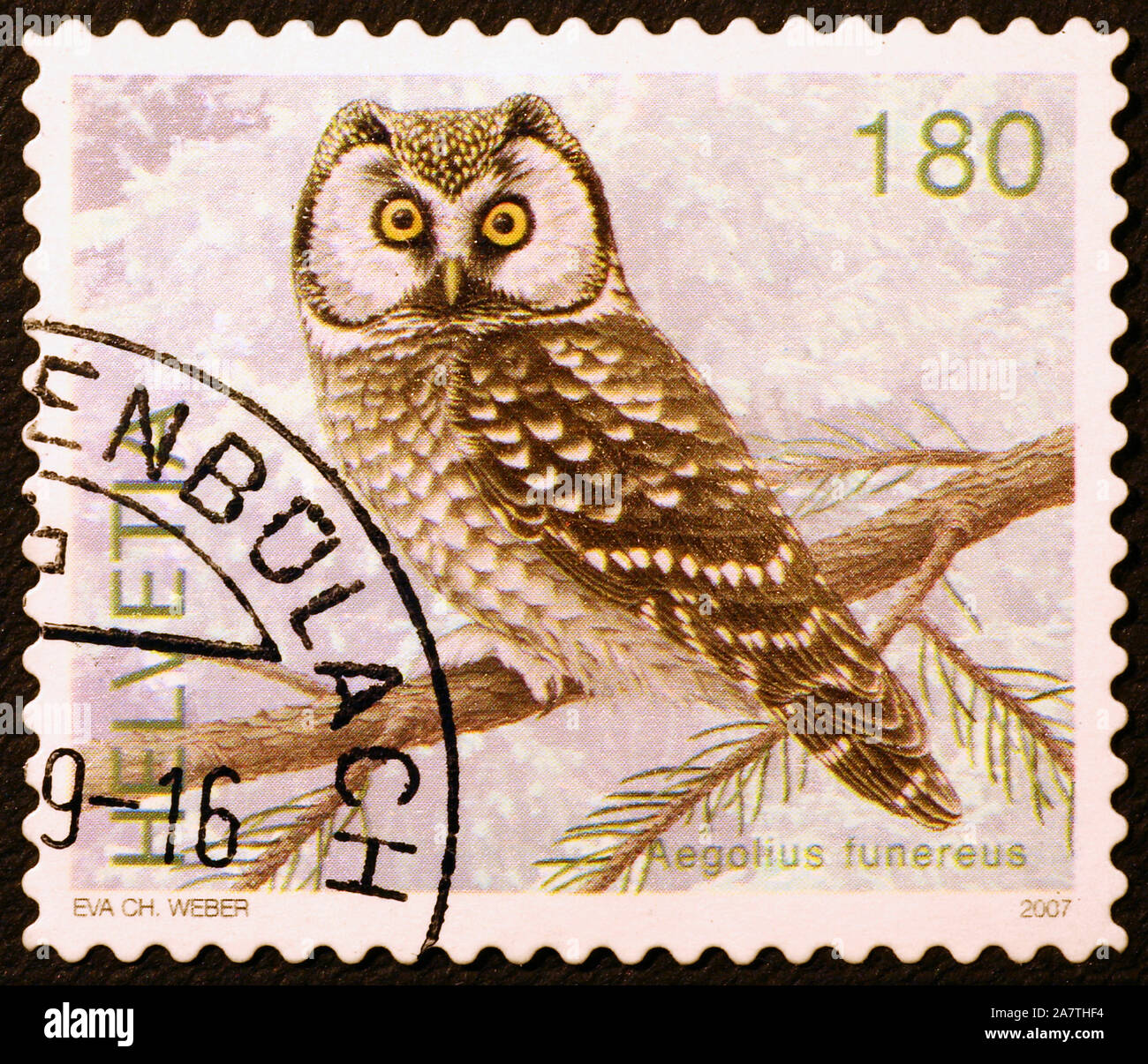 Tengmalm's Owl auf Schweizer Briefmarke Stockfoto