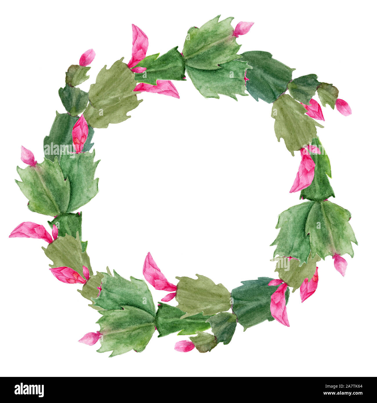 Weihnachten Kranz mit Zigokaktus Schlumbergera. Handgezeichneten Aquarell botanischer Illustration. Realistische isoliertes Objekt auf einem weißen Hintergrund für Ihre Stockfoto