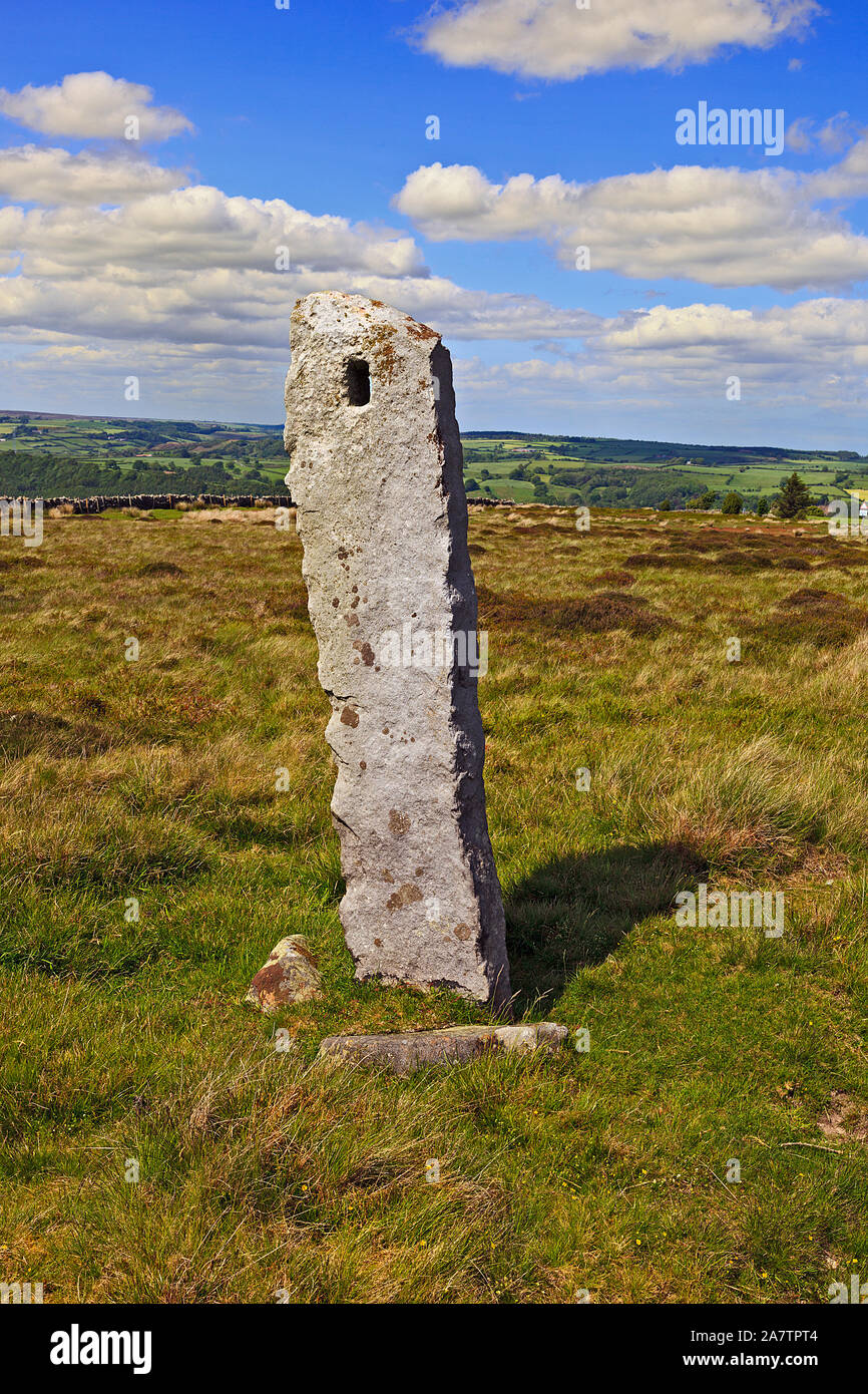 Alte Standing Stone auf der North York Moors, Yorkshire, England, Großbritannien Stockfoto