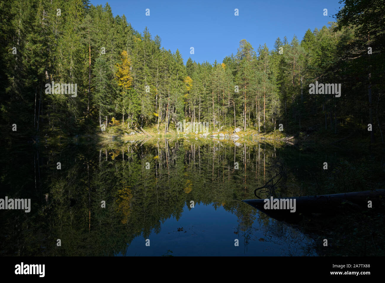 Teich mit reflektierenden Bäume am Eibsee im Herbst, Bayern, Deutschland Stockfoto