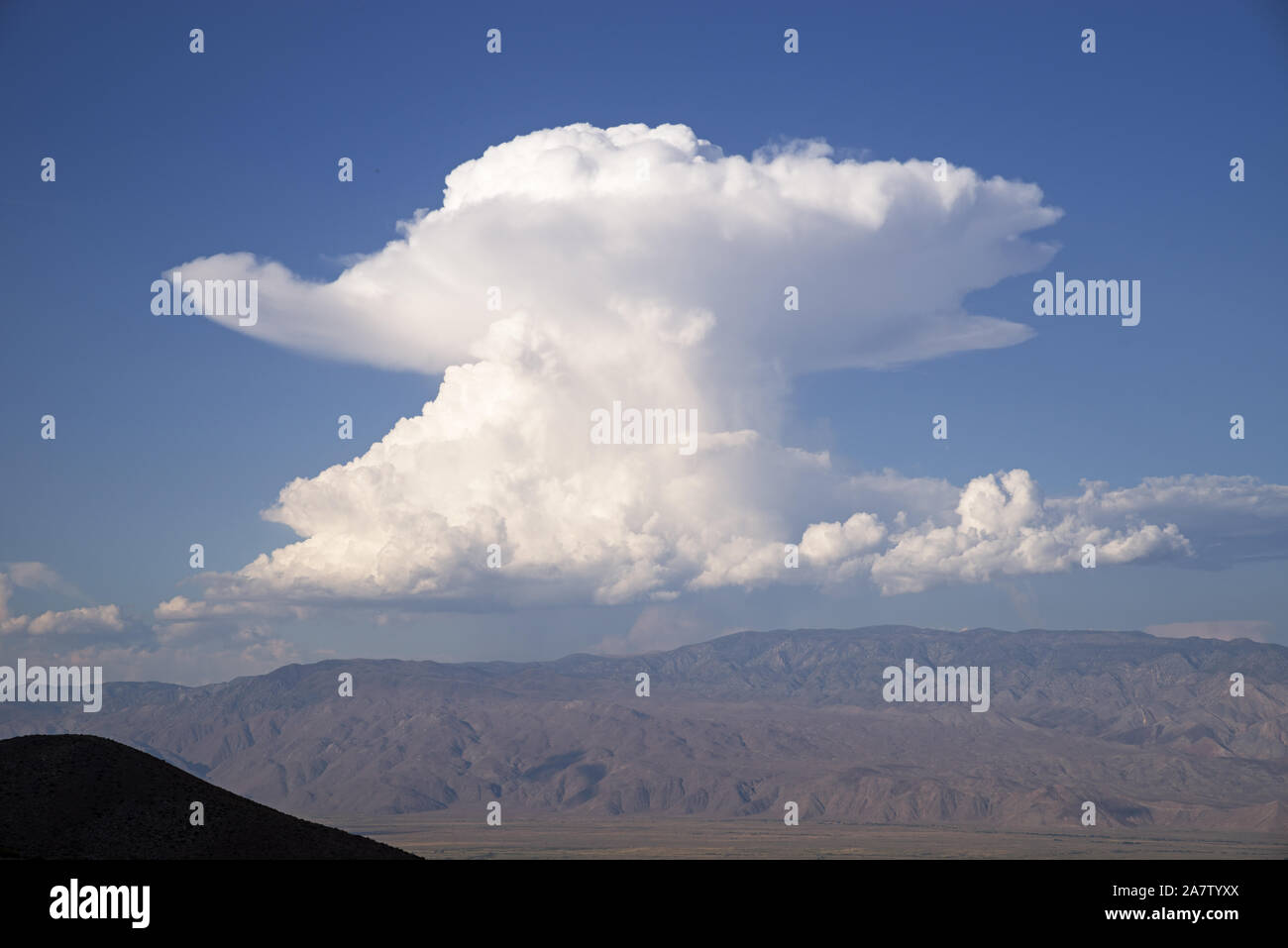 Cumulonimbus cloud thront über den Inyo Mountains in Pilzform Stockfoto