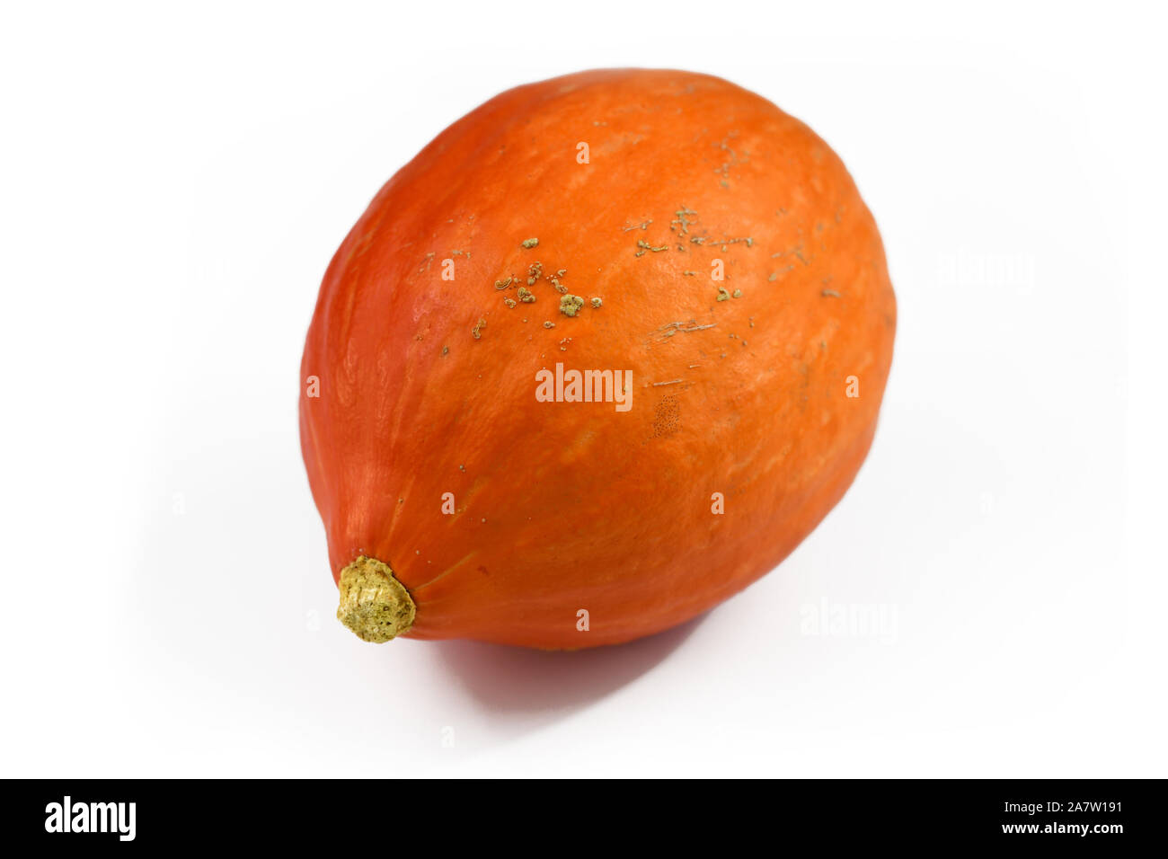 Runde 'Red Kuri" Squash, auch genannt "hokkaido" Squash, eine Runde orange Herbst Gemüse mit Thik Haut auf weißem Hintergrund Stockfoto