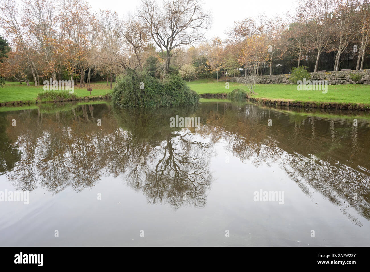 City Park von Porto im Herbst Stockfoto