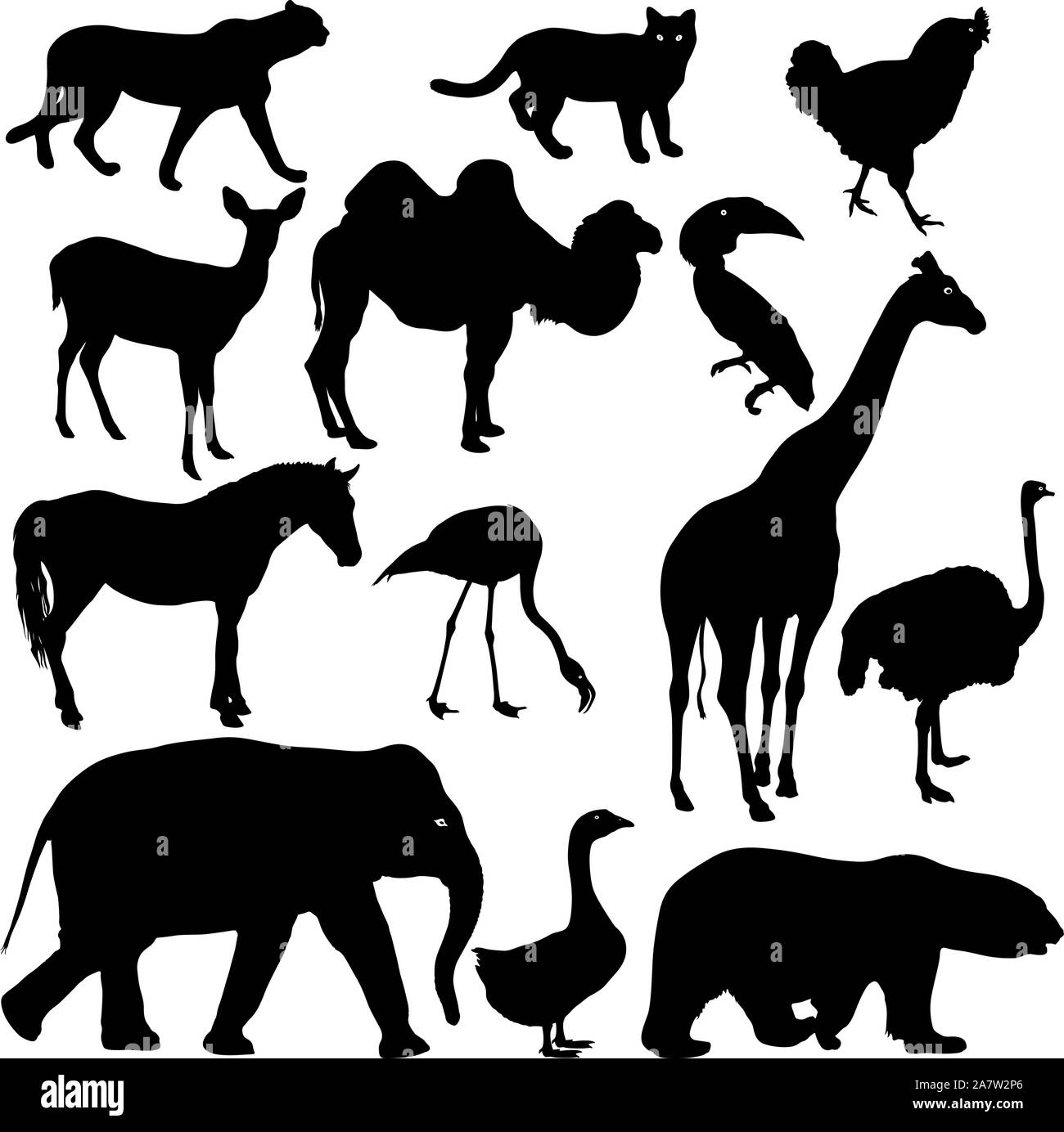 Silhouette Elefant bear eagle Trab Ente zebra Papagei auf einem weißen Hintergrund. Stock Vektor