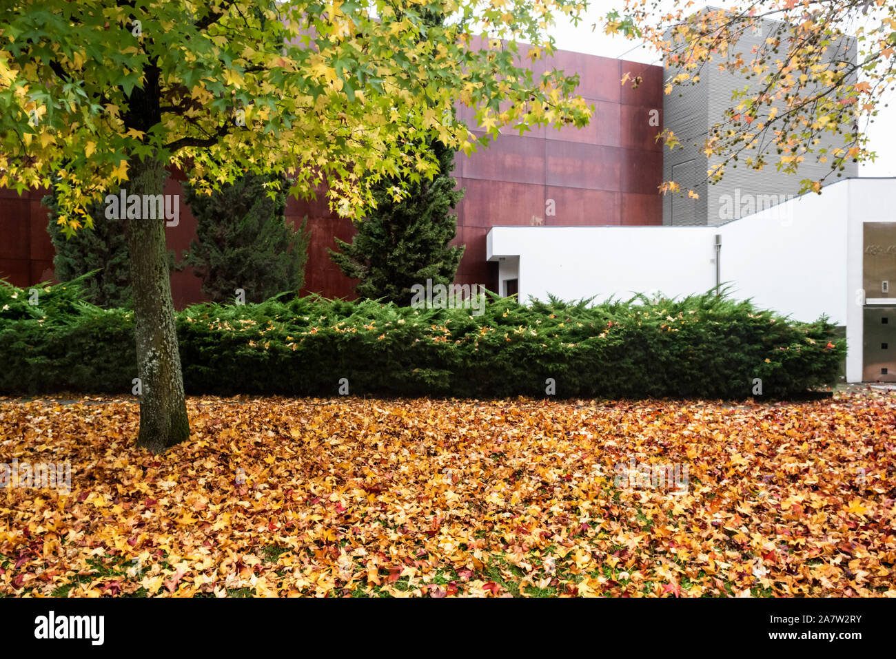 Eine Straße im Herbst Stockfoto