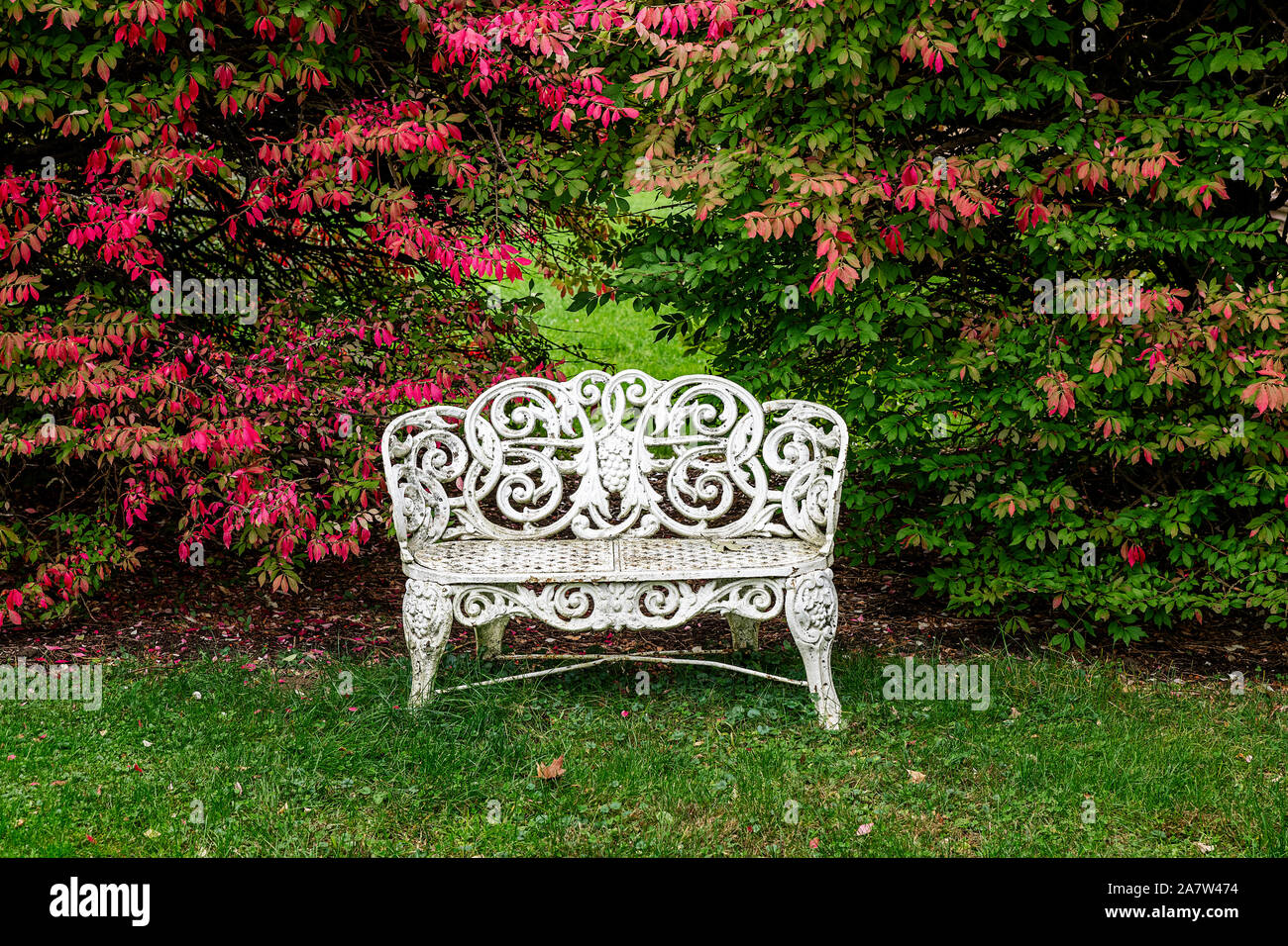 Charmante Garten Bank mit Herbst Laub. Stockfoto
