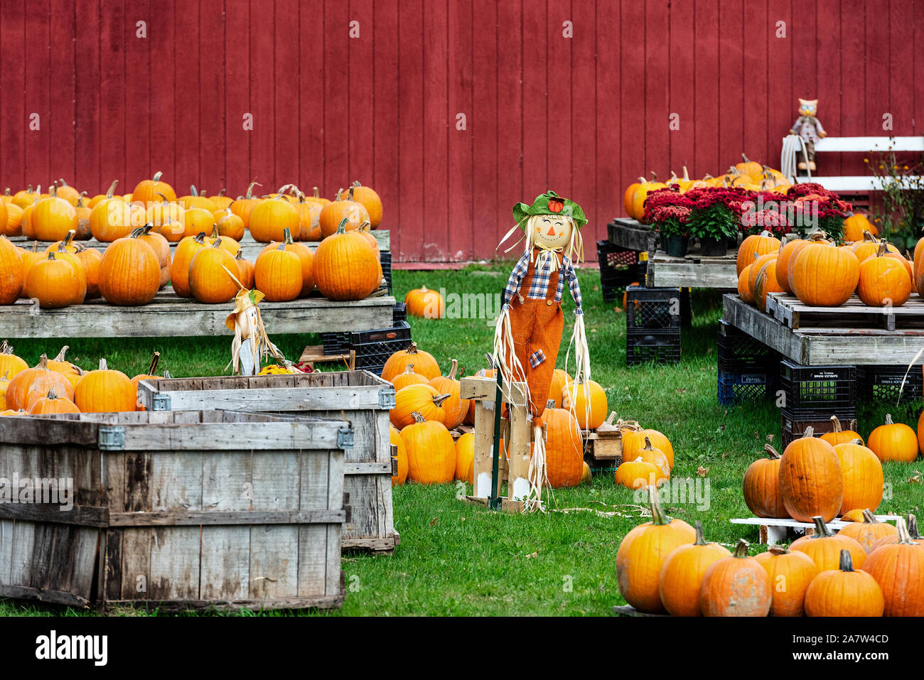 Dekorative Kürbis Anzeige auf einem Bauernhof stehen, Shaftsbury, Vermont, USA. Stockfoto