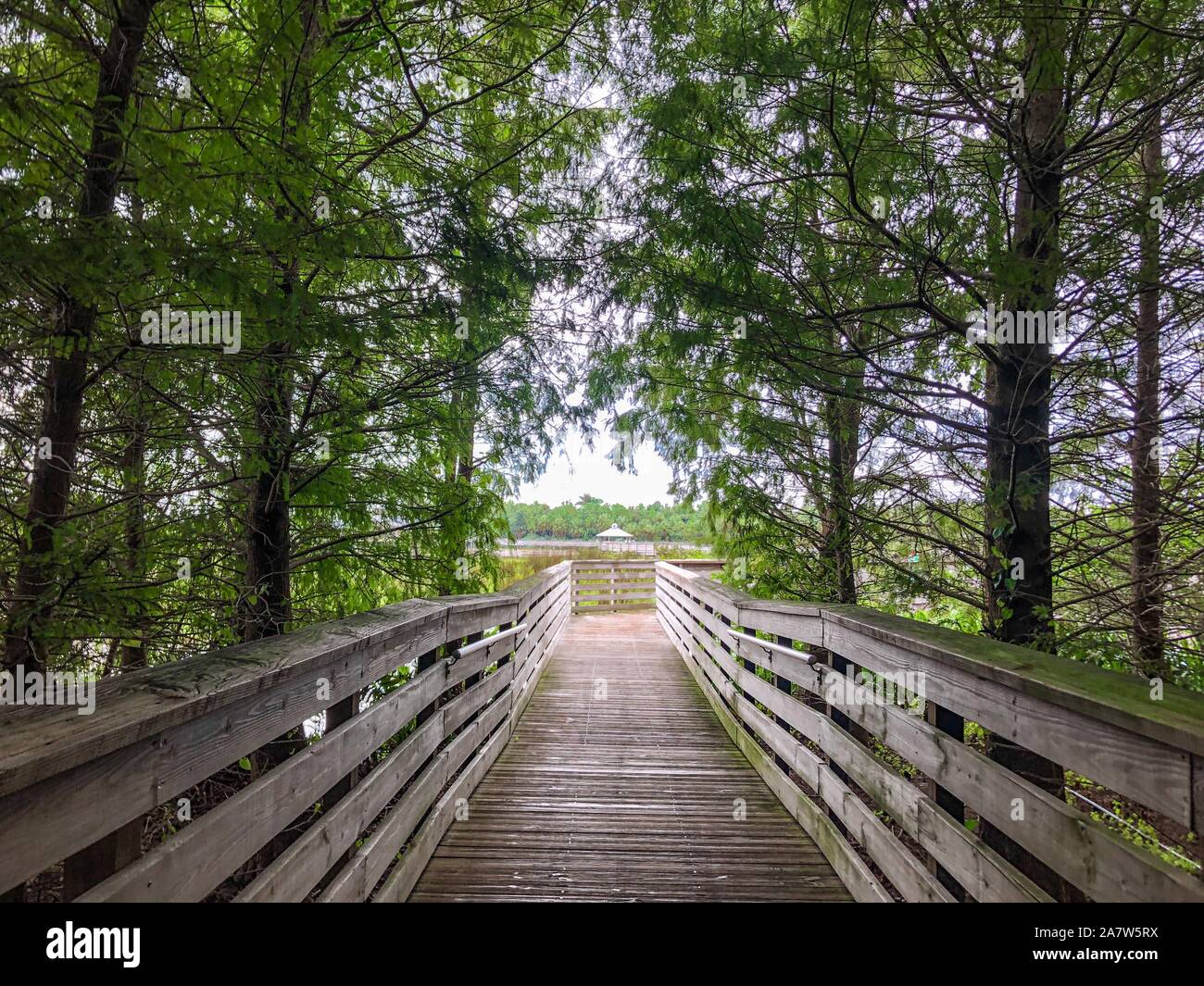 Wakodahatchee Feuchtgebiete erhöhten Promenade in Florida Stockfoto