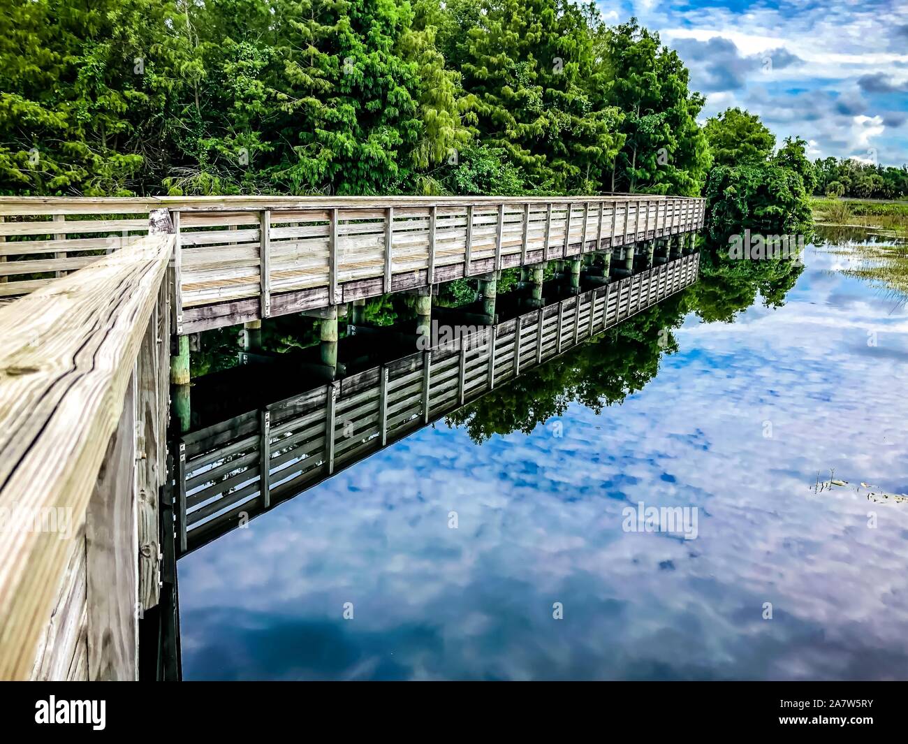 Wakodahatchee Feuchtgebiete erhöhten Promenade in Florida Stockfoto