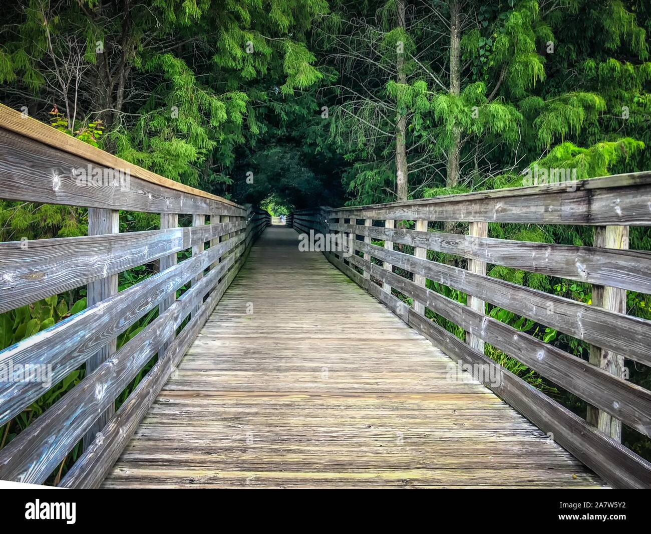 Wakodahatchee Feuchtgebiete erhöhten Promenade in Florida Stockfoto