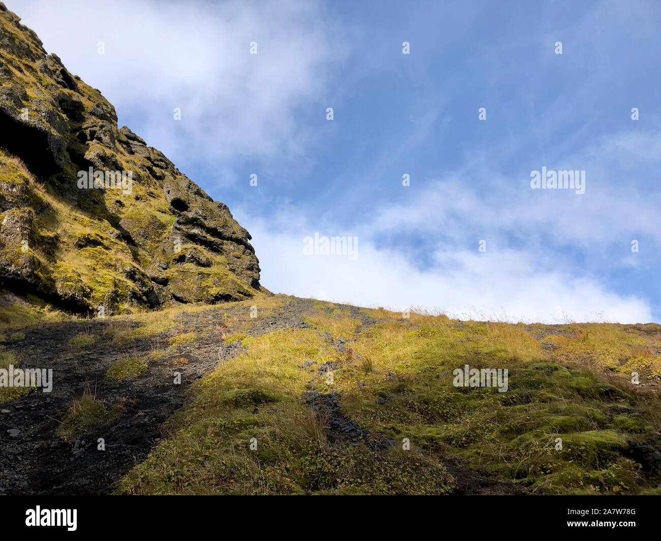 Bemoosten Felsen der Schlucht Rauðfeldsgjá in Island Stockfoto