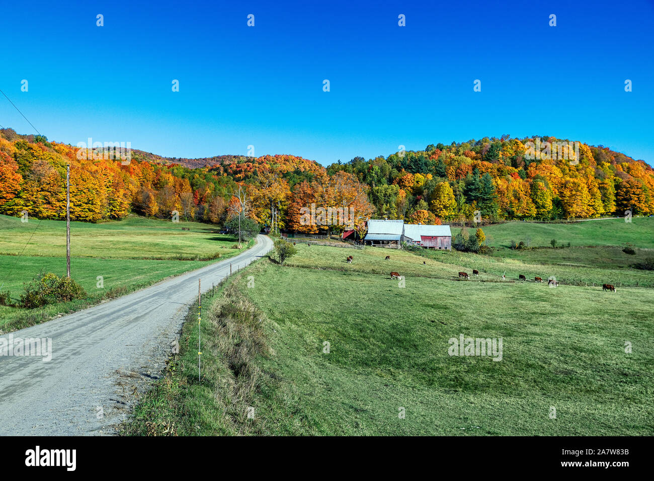 Idyllische herbst Farm, Lesen, Vermont, USA. Stockfoto