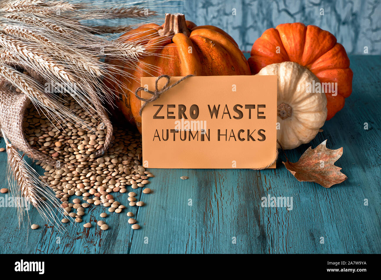 Herbst ernte noch leben mit Kürbissen, Weizenähren und Linsen im Sack auf blass blauen Holzmöbeln im Landhausstil Hintergrund. Papier Karte mit Text "Null Abfall Herbst Stockfoto