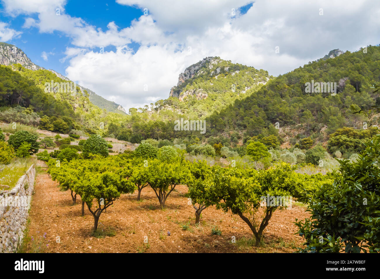 Die Landschaft der Serra Tramuntana auf der Insel Mallorca Stockfoto