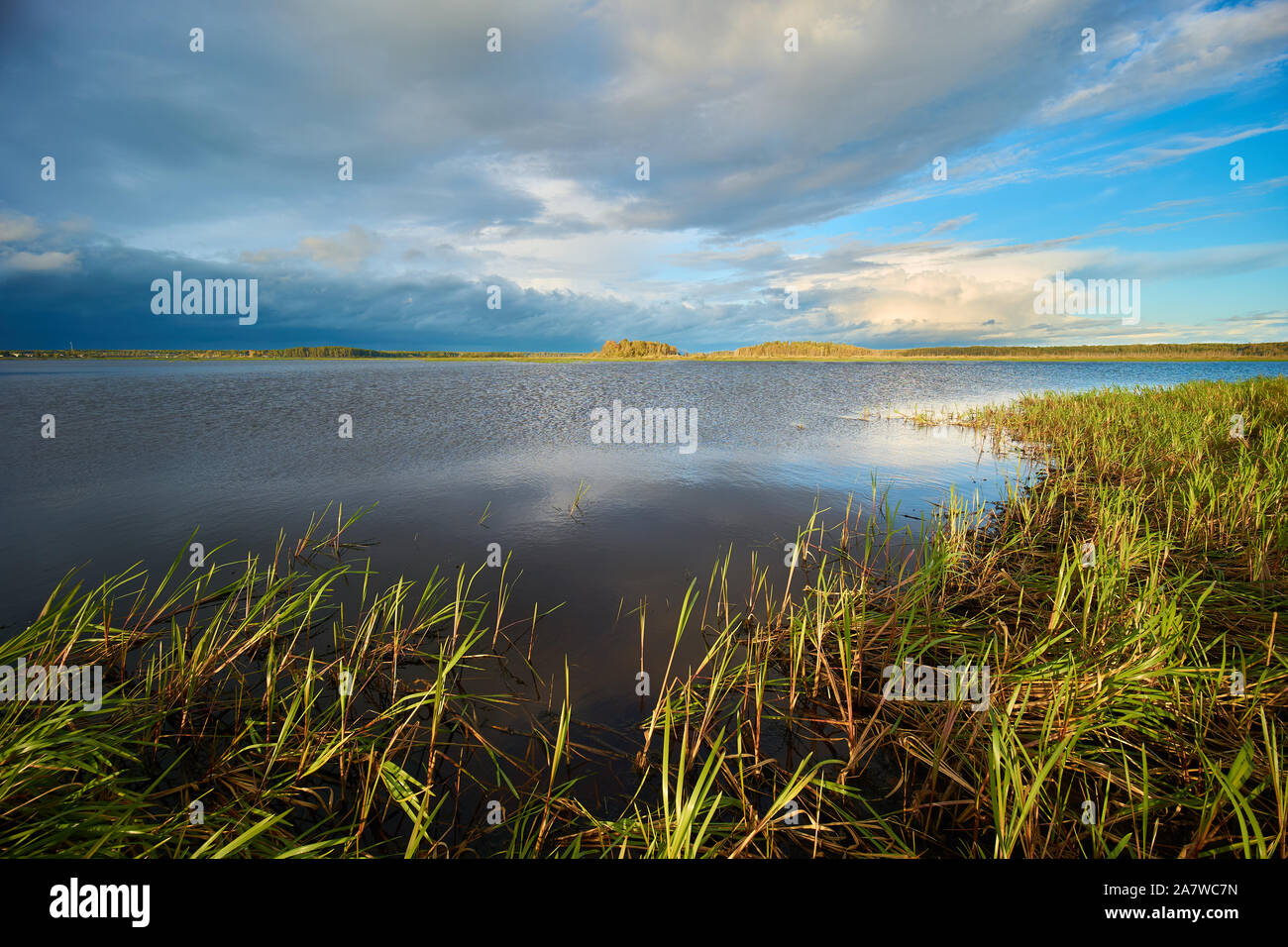 Herbst Landschaft auf peno See, Oblast Twer, Russland Stockfoto