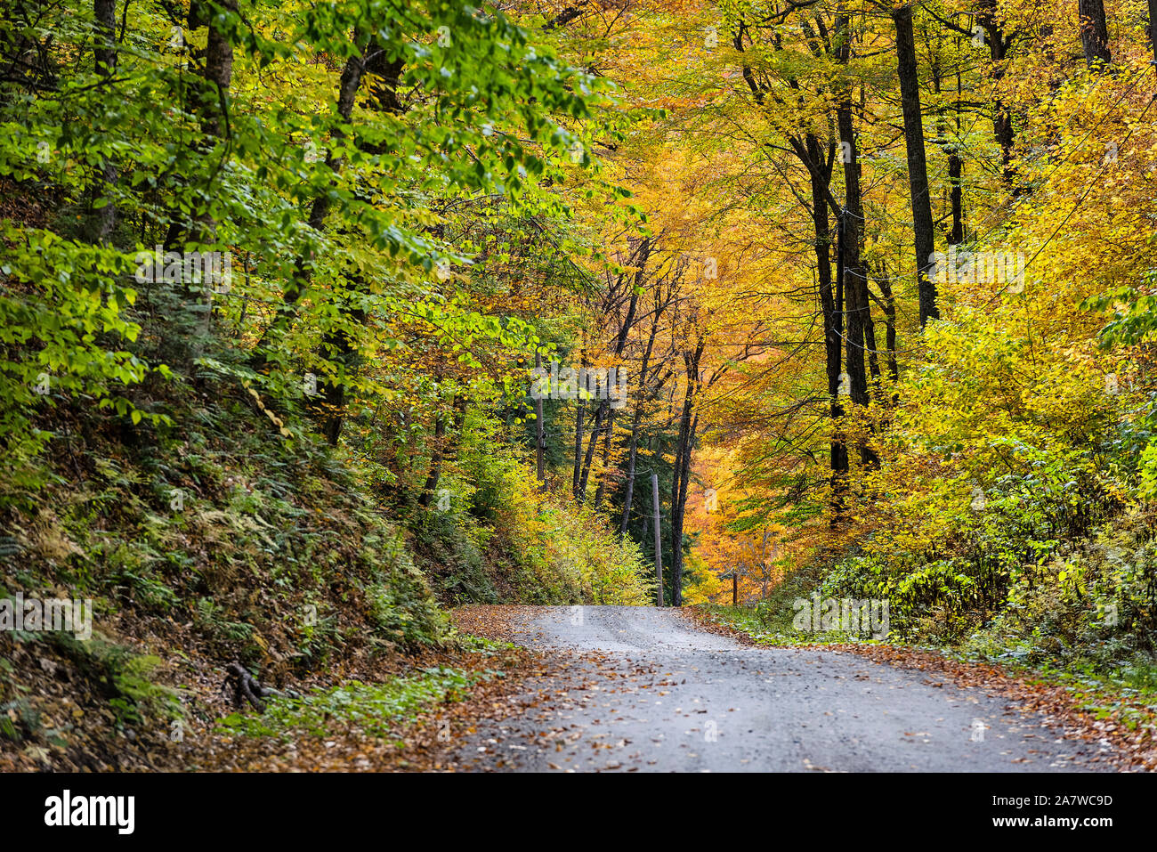 Unbefestigte Mountain Road mit Herbstlaub, Vermont, USA. Stockfoto
