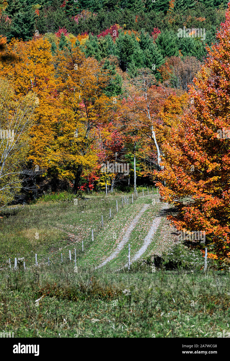 Unbefestigte Country Road, Stowe, Vermont, USA. Stockfoto