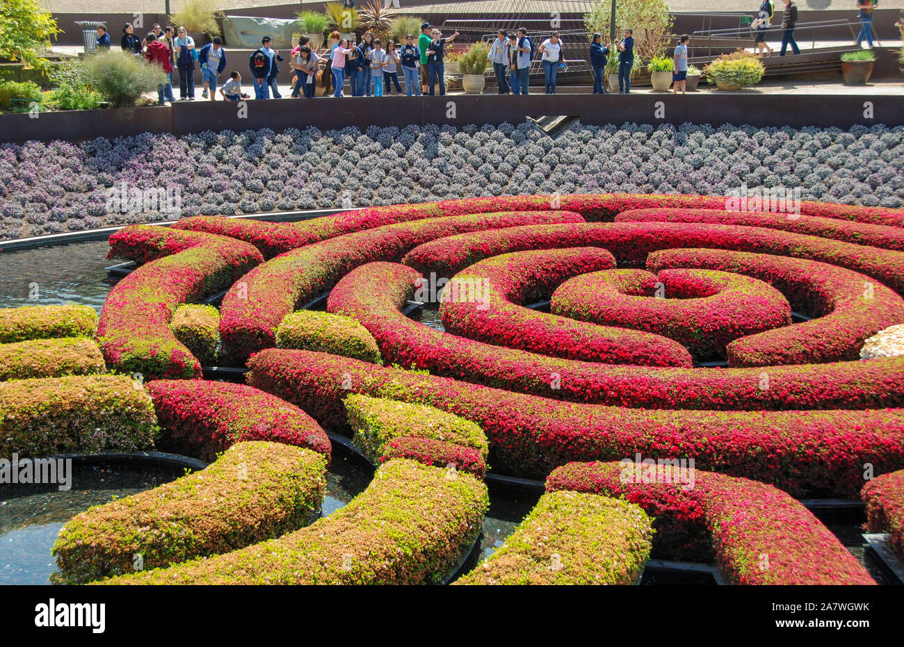 LOS ANGELES, Kalifornien - Mai 2009: geformten farbigen Hecken in Robert Irwin's Central Garden am Getty Center Stockfoto LOS ANGELES, Kalifornien - Mai 2009: geformten farbigen Hecken in Robert Irwin's Central Garden am Getty Center Stockfoto