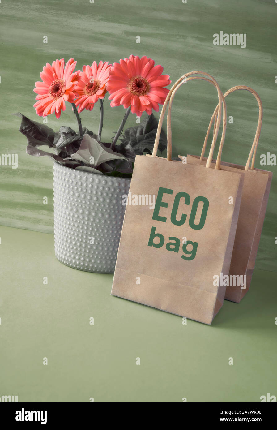 Coral Gerbera daisy flowers und Handwerk papper Einkaufstaschen auf grünem Papier Hintergrund. Frühling nachhaltiger Lebensstil Konzept Bild mit Text "Eco ba Stockfoto