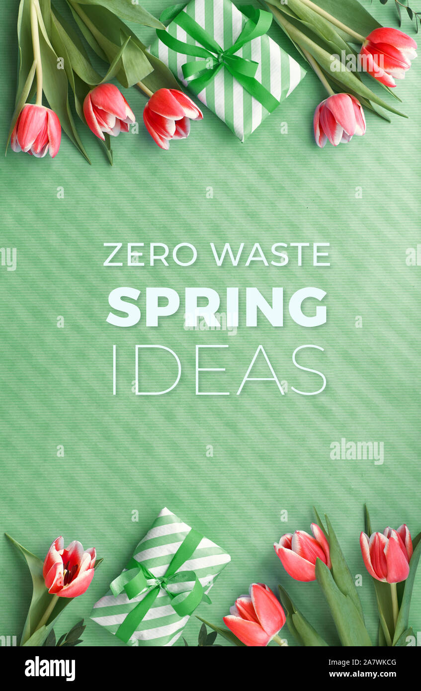 Grün umweltfreundliche Hintergrund mit verpackte Geschenkboxen und frischem Eukalyptus Zweige um Holzrahmen mit Text "Null Abfall Feder Ideen'.. Flach, t Stockfoto