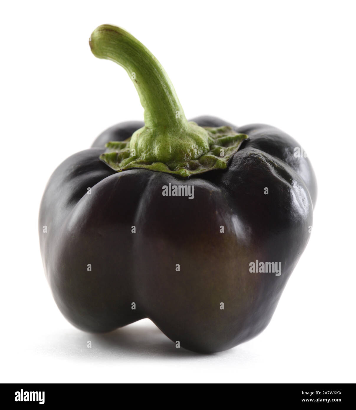 Hässliche schwarze Paprika auf weißem Hintergrund. Organische Erbstück Gemüse Konzept closeup Stockfoto