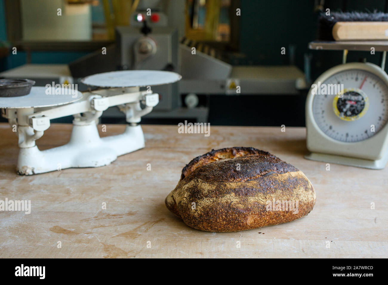 Frisch gebackenes Brot sitzt auf Bemehlten Zähler mit antiken Küchenwaagen Stockfoto