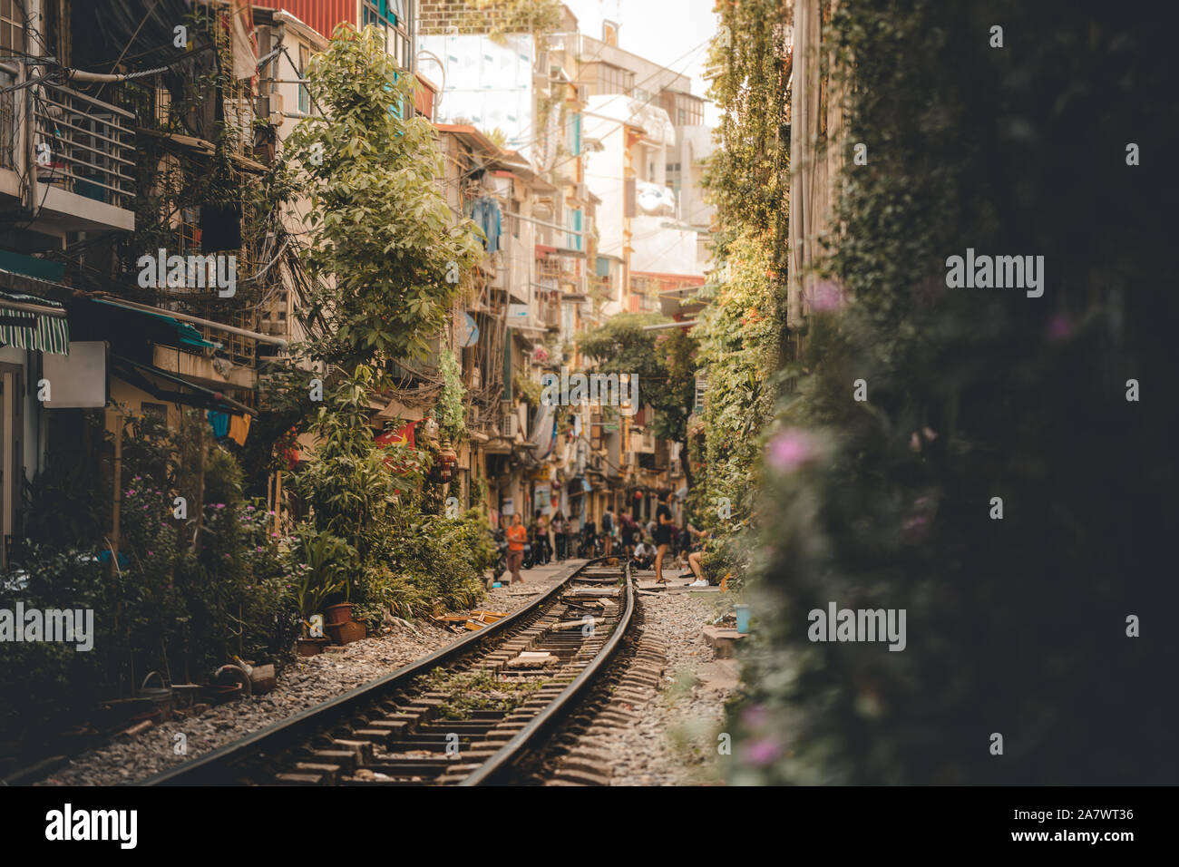 Tolles Foto von der wunderschönen, atemberaubenden und Surreale beliebte Ausflugsziel Bahnhof Straße in Hanoi, Hauptstadt von Vietnam Stockfoto