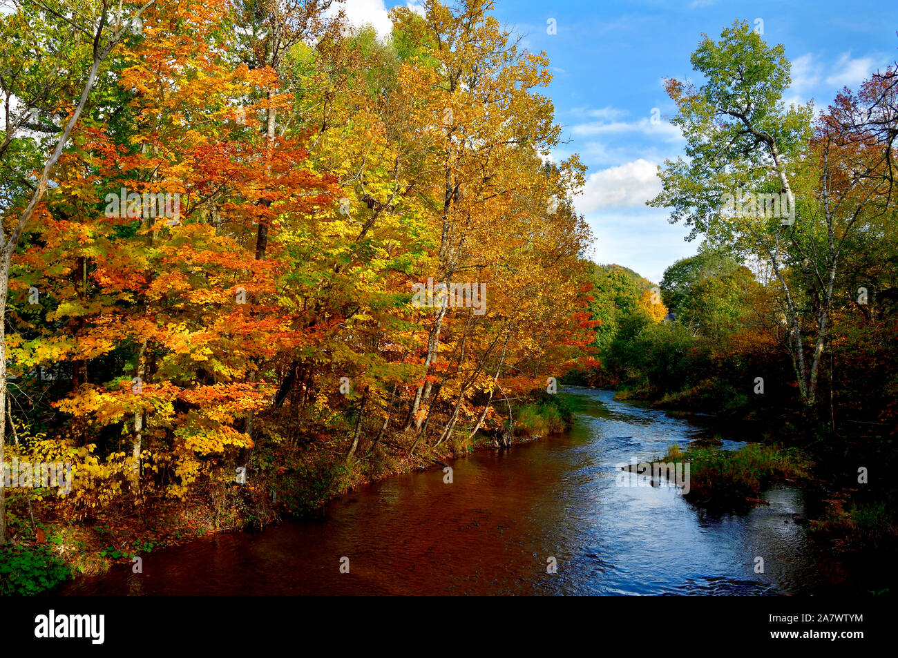 Eine Landschaft Blick entlang Trout Creek in der Nähe von Sussex New Brunswick mit der sommergrüne Baum Blätter die hellen Farben des Herbstes. Stockfoto