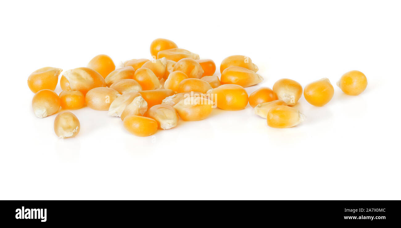 Kleiner Haufen von unpopped Popcorn Mais Kernel, auf weißem Hintergrund Stockfoto