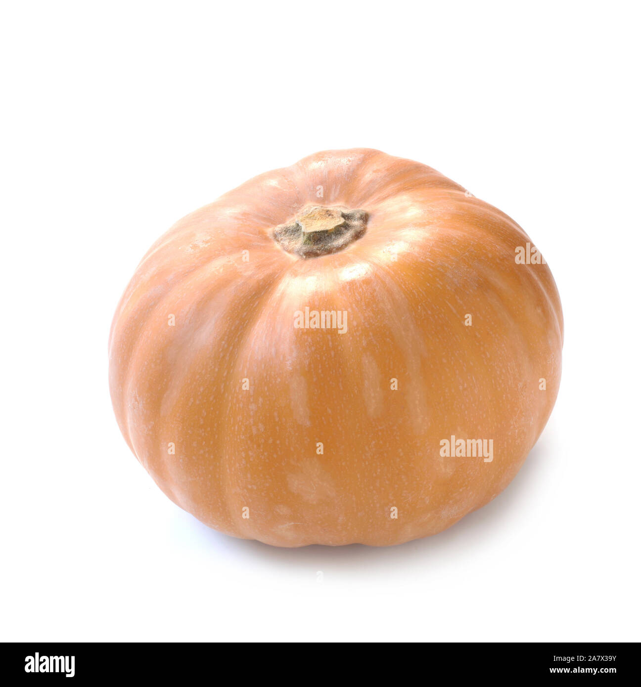 Muscat Kürbis isoliert auf weißem Stockfoto
