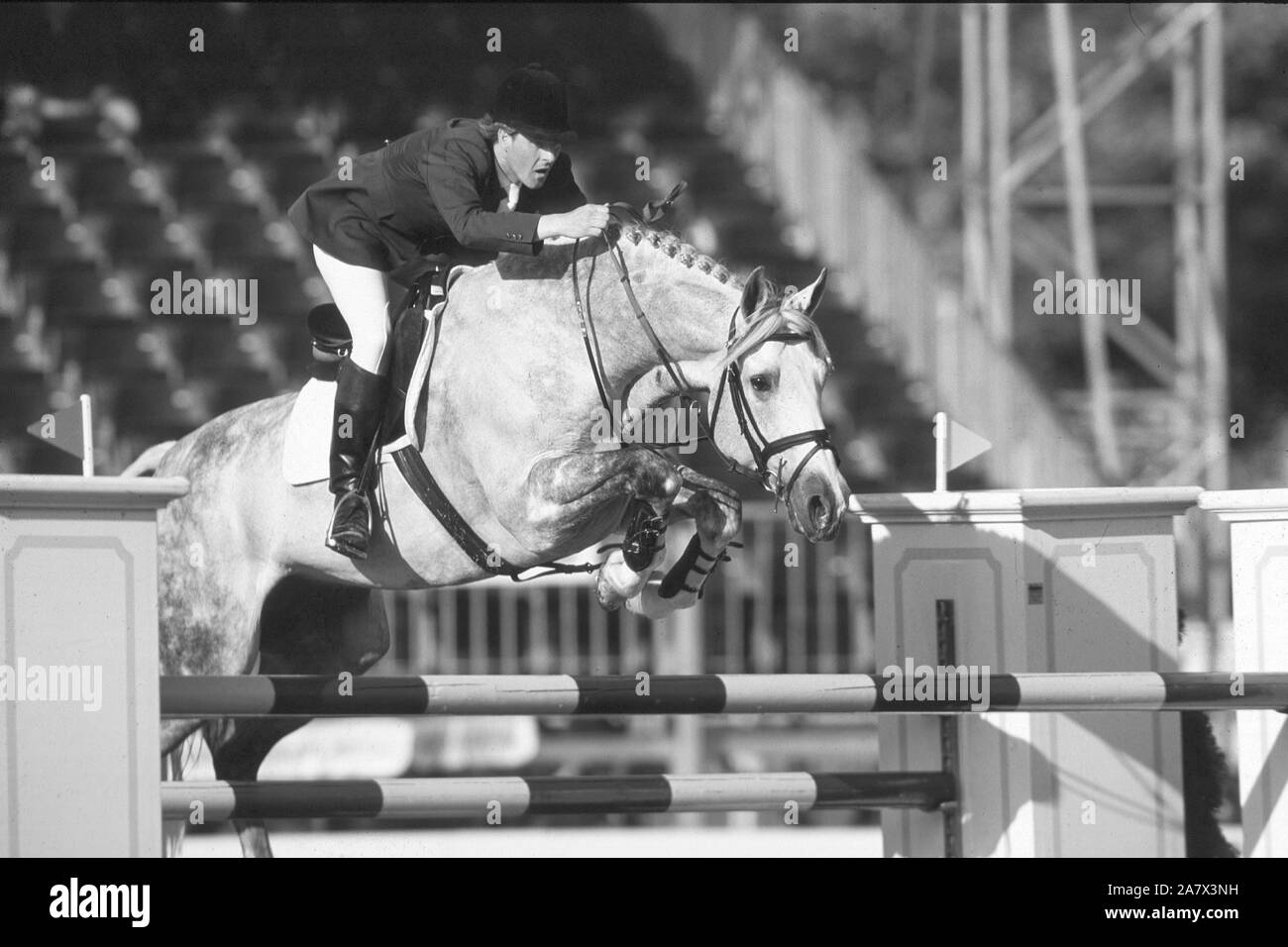 CSIO Luzern, 1998, Trevor Coyle (IRE) Reiten Kreuzfahrt Stockfoto