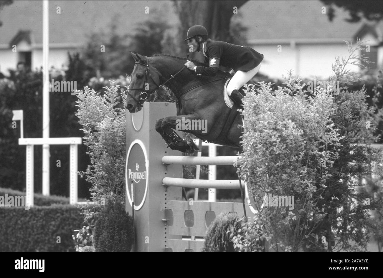 CSIO La Baule, Mai 1999, Thierry Pomel (FRA), Thor des Chaines Stockfoto