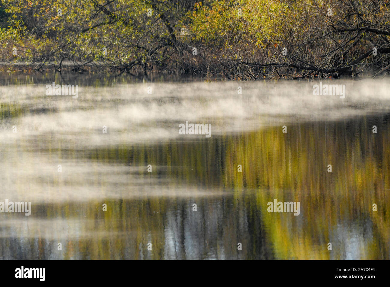 Herbstlaub im Wasser spiegelt - Herbstfarben - fallen Bäume sich - impressionismus - impressionistischen Fotografie - Dampf Nebel - misty Wasser Stockfoto