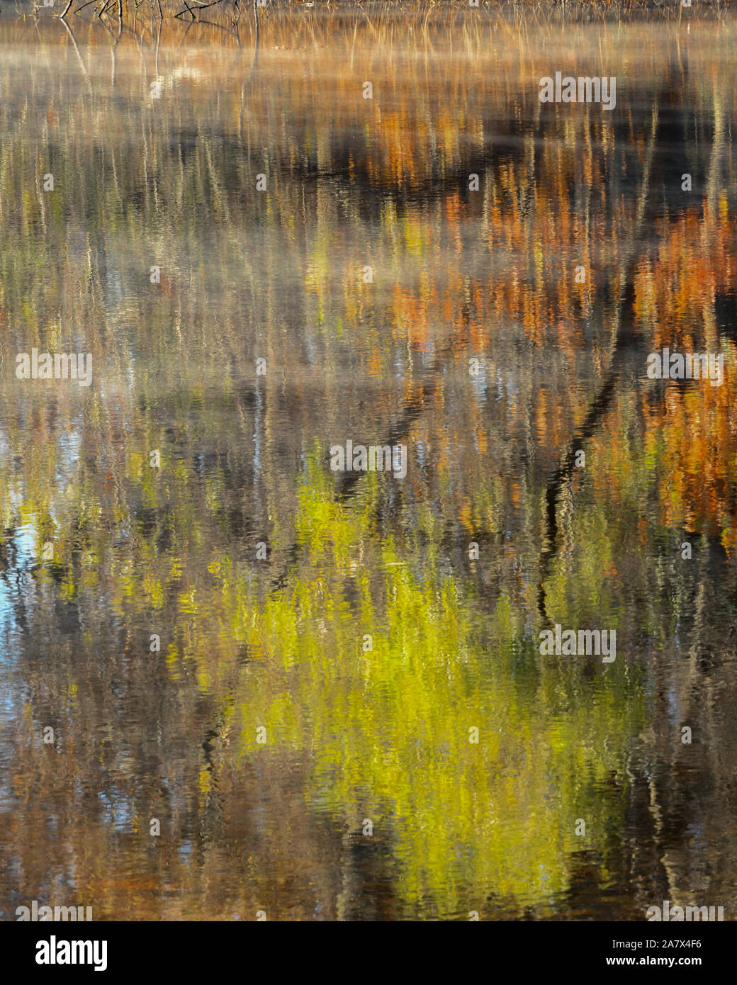 Herbstlaub im Wasser spiegelt - Herbstfarben - fallen Bäume sich - impressionismus - impressionistischen Fotografie - Dampf Nebel - misty Wasser Stockfoto