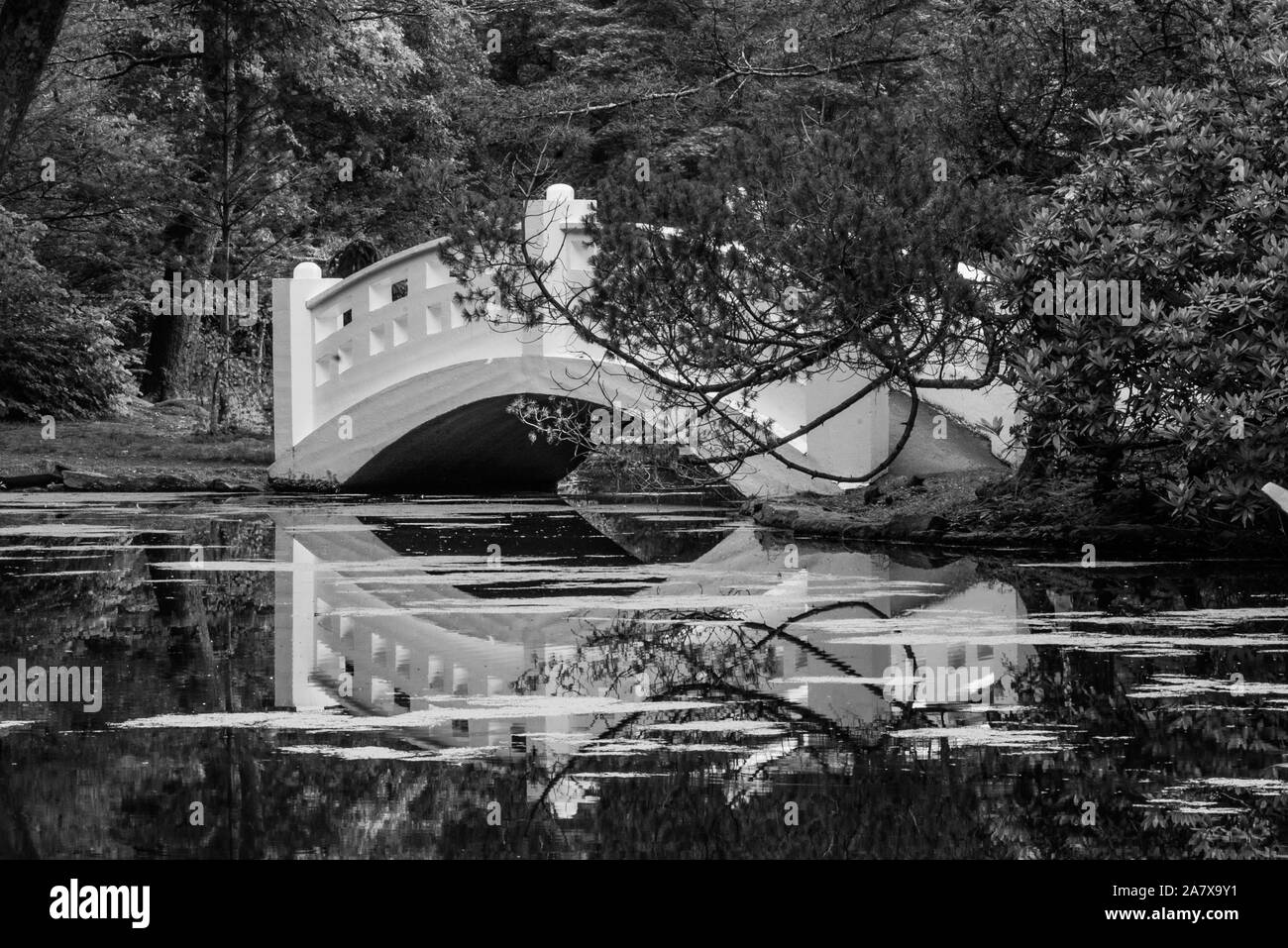 Teich und Brücke Stockfoto