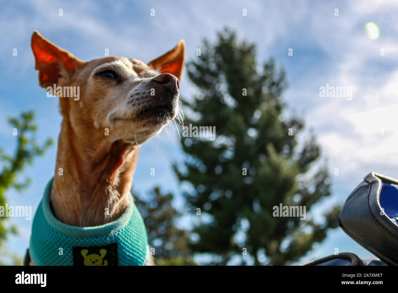 Letzte Stufe Stockfoto