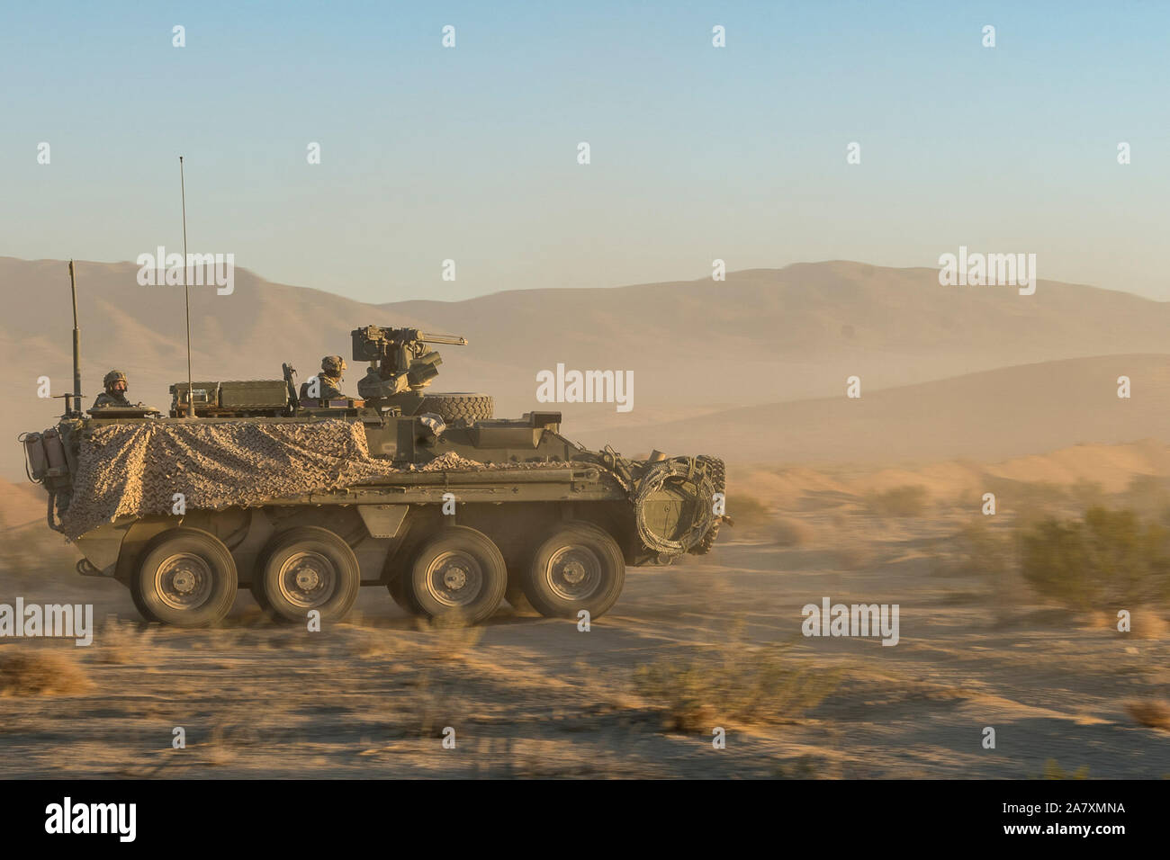 M1126 Stryker, an der 4. Staffel zugeordnet, 3.Kavallerie Regiments, beschleunigt während der entscheidenden Aktion Rotation 20-02 am National Training Center in Fort Irwin, Kalifornien, 31. Oktober 2019 in Angriff zu nehmen. Entscheidende Maßnahmen Drehungen am National Training Center sicher, dass Armee Brigade Combat Teams vielseitig bleiben, reaktionsschnell und konsequent für aktuelle und zukünftige Eventualitäten zur Verfügung. (U.S. Armee Foto von SSG Matthew Johnson, Operations, National Training Center) Stockfoto