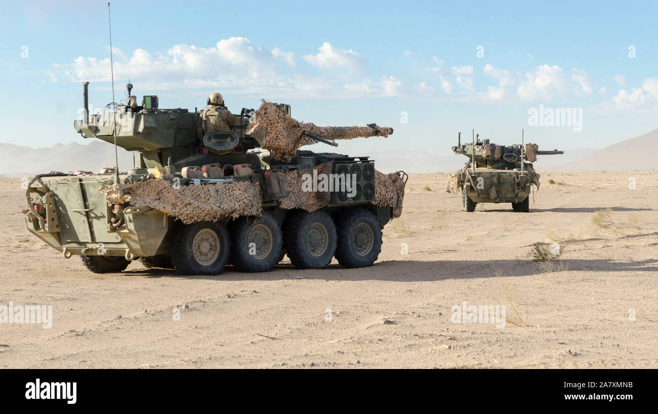 Ein M1128 MGS Stryker, an der 4. Staffel zugeordnet, 3.Kavallerie Regiments, bietet Sicherheit während der entscheidenden Aktion Rotation 20-02 am National Training Center in Fort Irwin, Kalifornien, 31. Oktober 2019. Entscheidende Maßnahmen Drehungen am National Training Center sicher, dass Armee Brigade Combat Teams vielseitig bleiben, reaktionsschnell und konsequent für aktuelle und zukünftige Eventualitäten zur Verfügung. (U.S. Armee Foto von SSG Matthew Johnson, Operations, National Training Center) Stockfoto