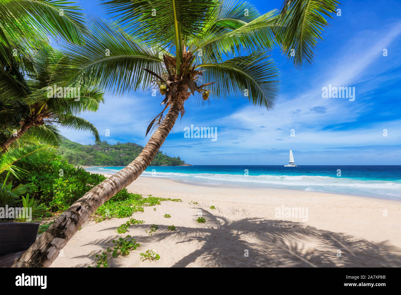 Tropischer Strand Hintergrund Stockfoto