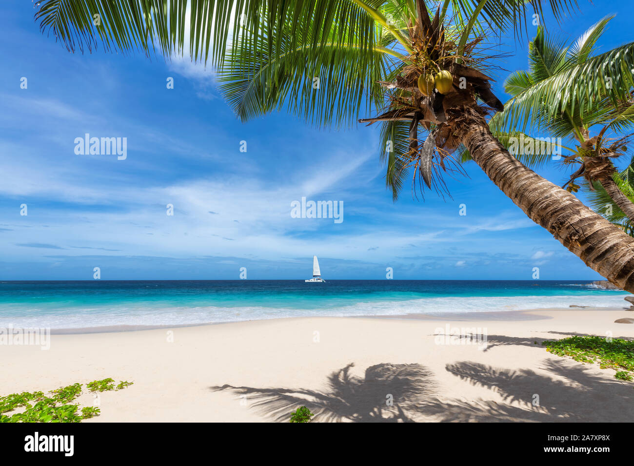 Exotischen tropischen Strand Hintergrund Stockfoto