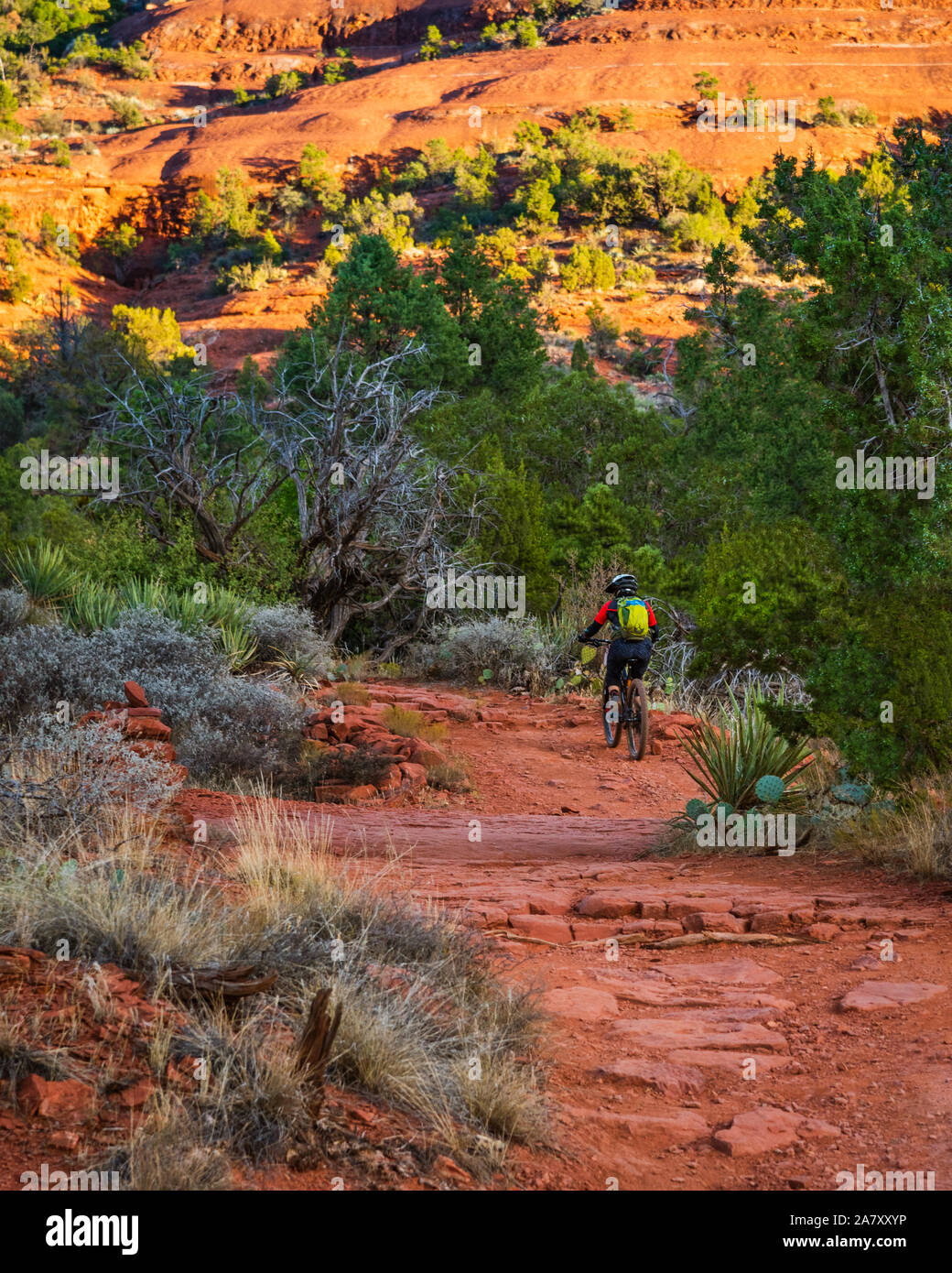 Eine weibliche Mountainbiker klettern Bell Rock Trail in Sedona, Arizona. Stockfoto