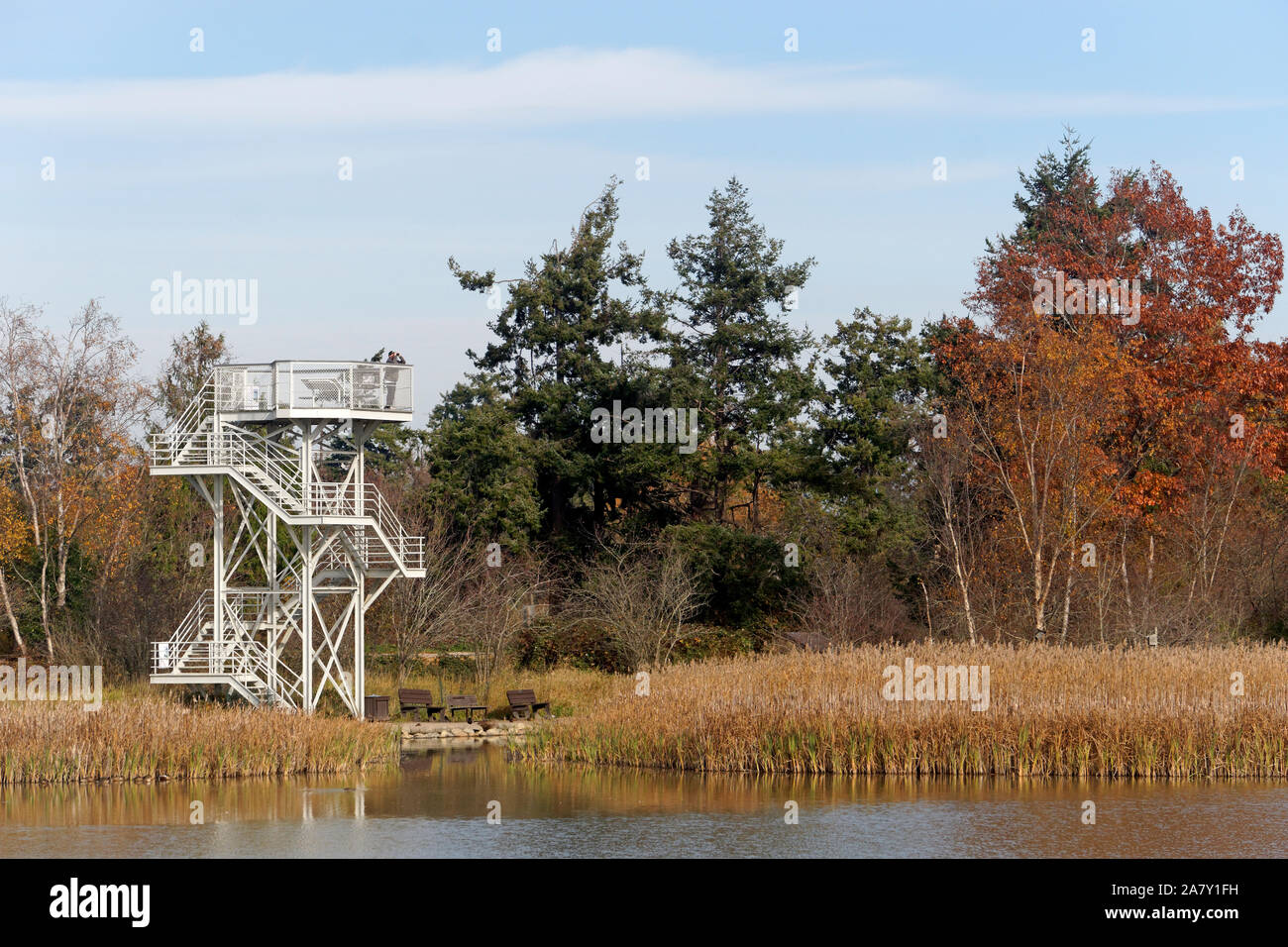 Zwei-stöckige Metall Aussichtsturm am George C. Reifel wandernden Vogelschutzgebiet, Delta, BC, Kanada Stockfoto
