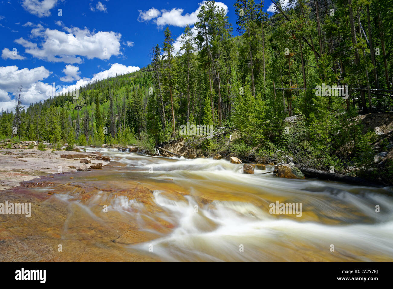 Provo River entlang der Mirror Lake Scenic Byway, Utah Stockfoto