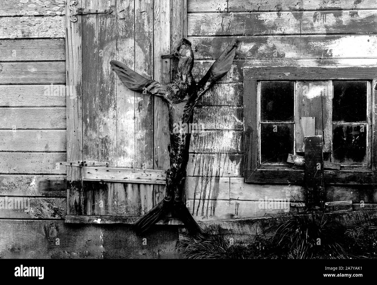 Dichtung am Gebäude Stockfoto