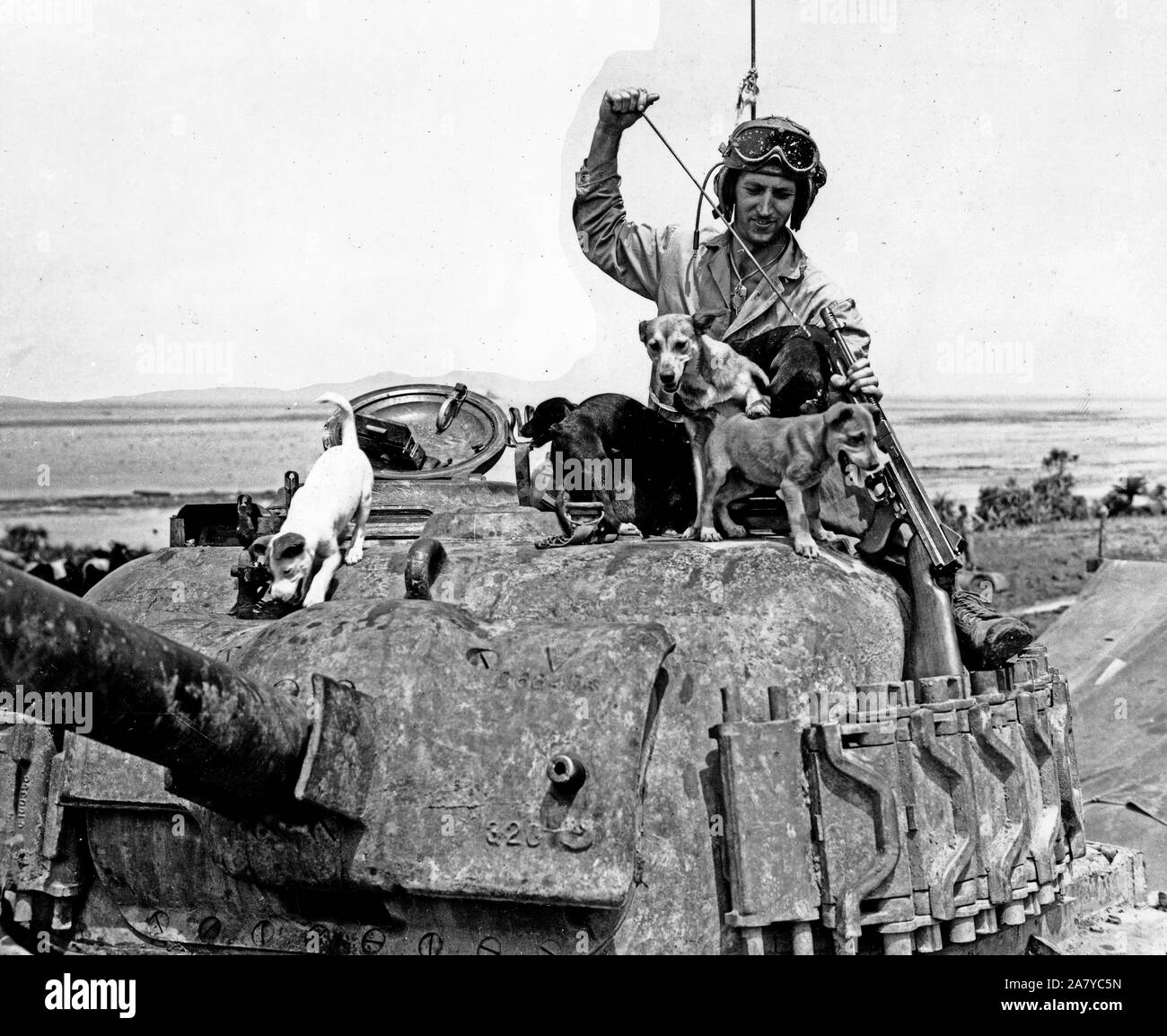 Weltkrieg II Foto-A marine private zurück von der Front in Okinwa durch sechs Welpen, die an Bord des Schiffes auf dem Weg nach Okinawa geboren waren, um zu empfangen. Stockfoto