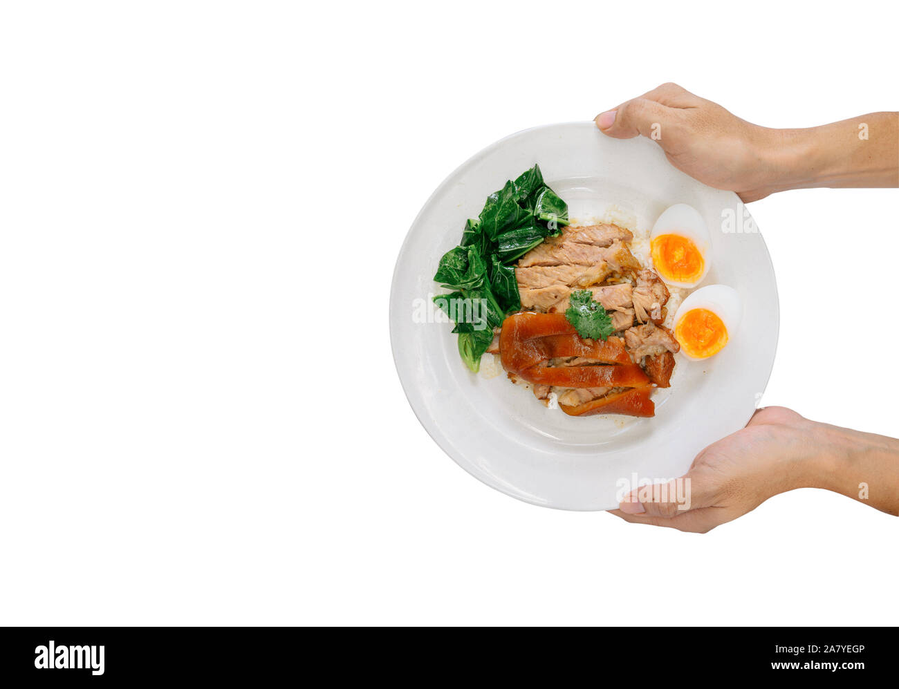 Hand, geschmortes Schweinefleisch Bein auf Reis auf weißem Hintergrund. Lecker essen, kalorienreiche Lebensmittel, Fast Food, haben viele Fett. Stockfoto