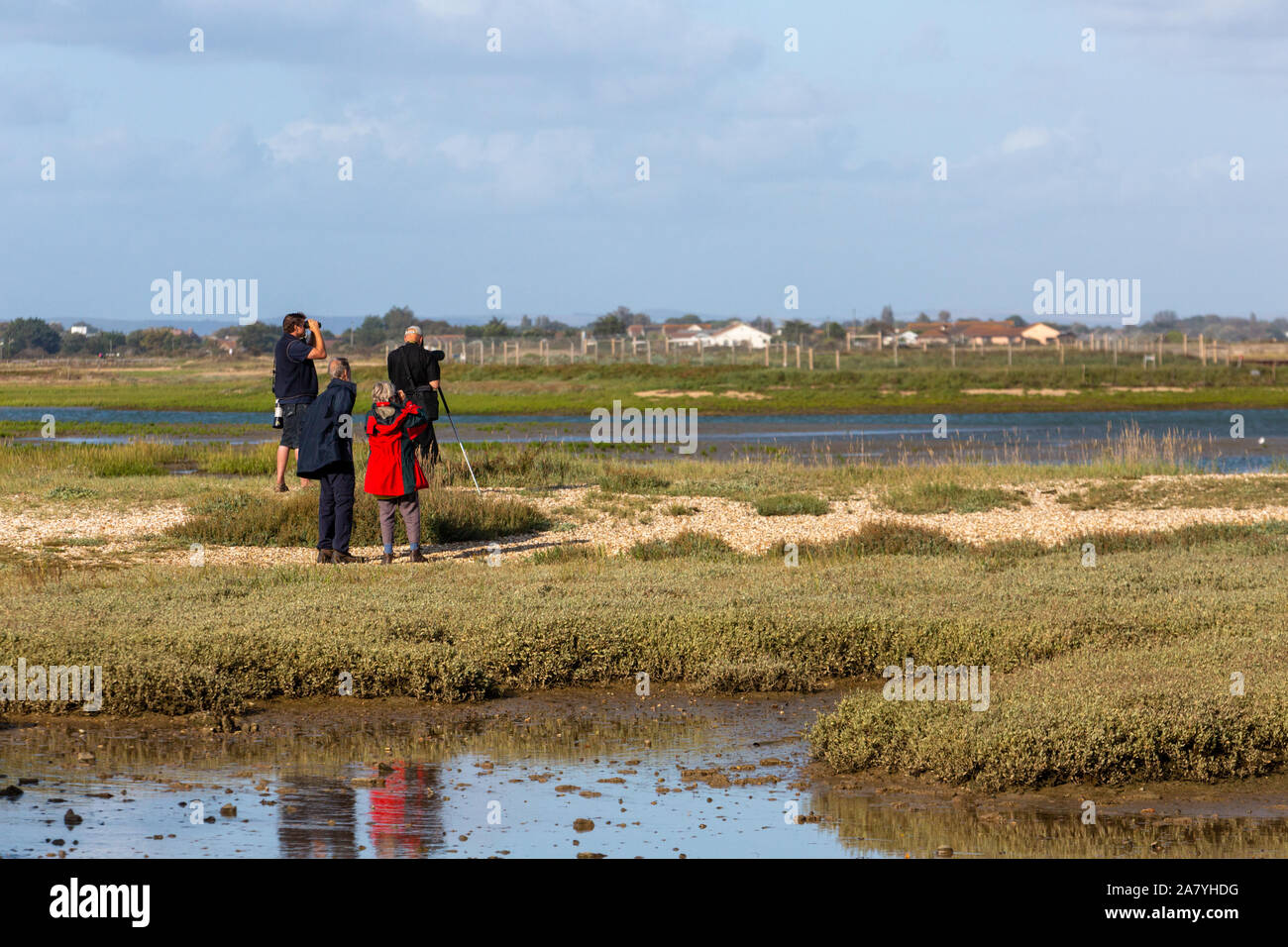 Birdwatching in Pagham Hafen Stockfoto